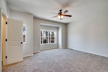 Plush carpeting
